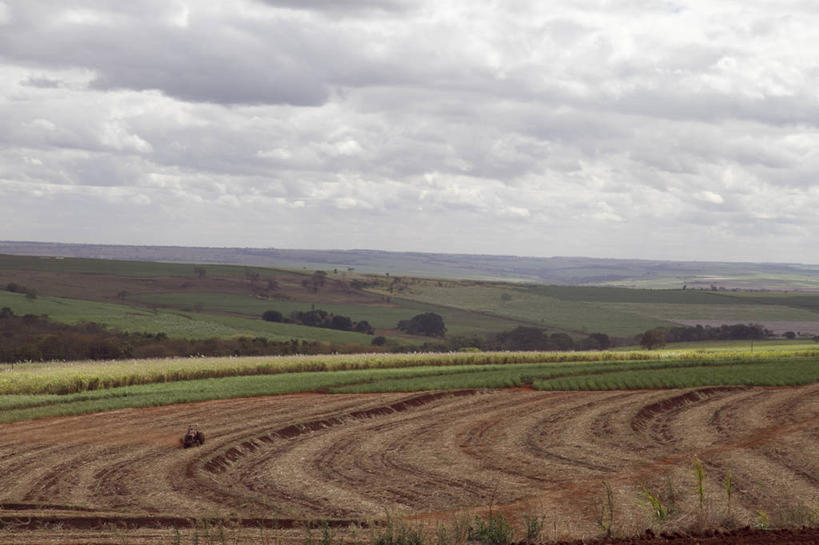 无人,横图,俯视,航拍,室外,白天,雨,多云,巴西,地形,田地,云,风景,摄影,鸟瞰,拖拉机,种植园,圣保罗,彩图,高角度拍摄