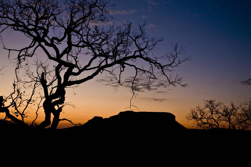 无人,横图,室外,夜晚,美景,山,巴西,景观,树干,天空,自然,黄昏,景色,南美,摄影,生长,宁静,环境,南美洲,气候,拉丁美洲,自然风光,美洲,干的,万里无云,巴西联邦共和国,亚美利加洲,南亚美利加洲,南马托格罗索,南马托格罗索州,彩图