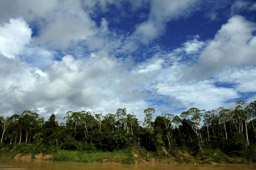 无人,横图,室外,白天,旅游,度假,河流,美景,巴西,亚马逊河,地形,景观,流水,云,娱乐,树,风景,天空,自然,享受,休闲,景色,南美,放松,摄影,宁静,环境,自然风光,热带雨林,彩图,旅行,亚马逊雨林