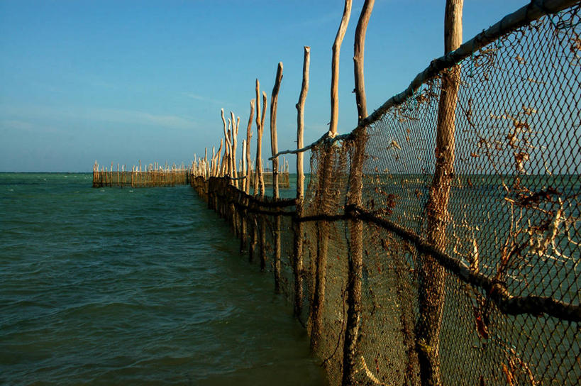 无人,横图,室外,特写,白天,旅游,度假,渔业,机器,海洋,美景,水,巴西,地形,景观,娱乐,风景,天空,自然,享受,休闲,机械,木桩,景色,南美,放松,摄影,生活方式,渔网,宁静,环境,自然风光,鱼网,户外活动,万里无云,阿拉戈斯,马塞约,海滩,彩图,钓鱼,传统文化,农业机械