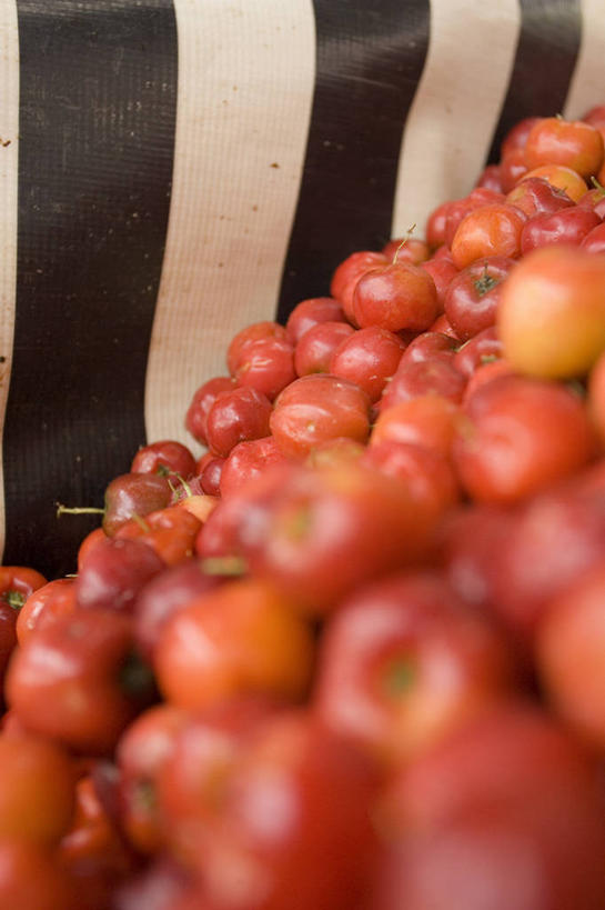 无人,竖图,室外,白天,消费,水果,巴西,萨尔瓦多,许多,丰富,生食,食品,市场,很多,饮食,红色,南美,零售,摄影,南美洲,拉丁美洲,清新,美洲,健康食物,巴西联邦共和国,首府,亚美利加洲,南亚美利加洲,巴伊亚,巴伊亚州,彩图