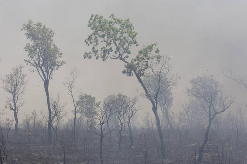 无人,横图,室外,白天,森林,树林,火,巴西,环保,树,天空,自然,烟,南美,摄影,能源,环境,回收,资源,国家公园,毁灭,利用,低碳,循环,持续,托坎廷斯,彩图,郊野公园
