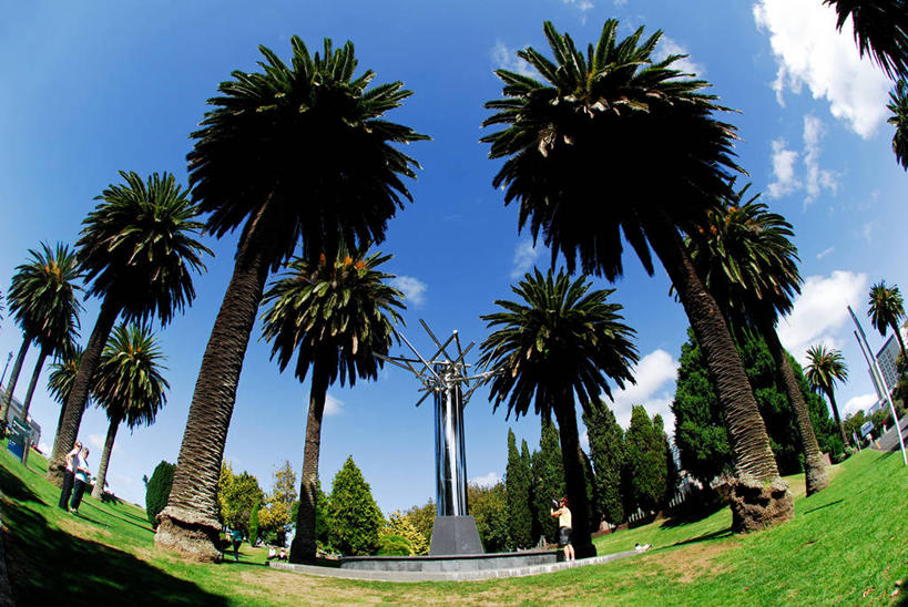 三个人,公园,站,横图,室外,白天,鱼眼镜头,仰视,美景,棕榈树,雕塑,新西兰,阴影,朦胧,模糊,雕像,景观,云,休闲装,草,衣服,天空,自然,景色,摄影,宁静,环境,自然风光,澳大拉西亚,奥克兰区,休闲活动,彩图,低角度拍摄,旅行