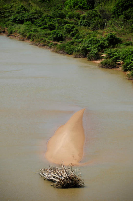 无人,竖图,俯视,室外,白天,河流,美景,巴西,浮木,沙子,景观,流水,自然,景色,南美,摄影,宁静,环境,自然风光,冒险,彩图,高角度拍摄