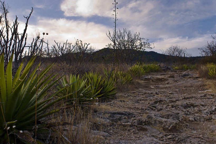 无人,横图,室外,白天,旅游,度假,美景,山,植物,墨西哥,地形,景观,云,娱乐,草,风景,天空,自然,享受,休闲,景色,放松,摄影,生长,宁静,环境,拉丁美洲,自然风光,美洲,瓦哈卡州,瓦哈卡,岩石,彩图,旅行