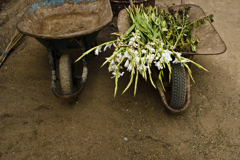 无人,横图,室外,白天,旅游,度假,美景,墨西哥,节日,生锈,时间,庭院,景观,泥土,古典,文化,娱乐,花,自然,车轮,祈祷,享受,休闲,健康,景色,放松,许愿,摄影,宗教,信仰,古董,纪念,祈求,腐蚀,侵蚀,死亡,栀子,北美,北美洲,基督教,天主教,自然风光,美洲,独轮手推车,瓦哈卡州,北亚美利加洲,亚美利加洲,墨西哥合众国,仙人掌王国,永远,腐化,锈迹斑斑,圣马特奥县,平安,彩图,独处
