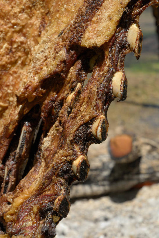无人,竖图,室外,特写,白天,烧烤,肉,食品,饮食,树干,摄影,清新,健康食物,布宜诺斯艾利斯,彩图