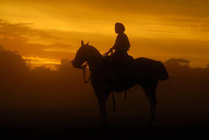 一个人,牛仔,坐,横图,室外,美景,马,骑马,朦胧,模糊,景观,拿着,树,自然,黄昏,动物,家畜,景色,摄影,生活方式,宁静,自然风光,剪影,逆光,布宜诺斯艾利斯,彩图