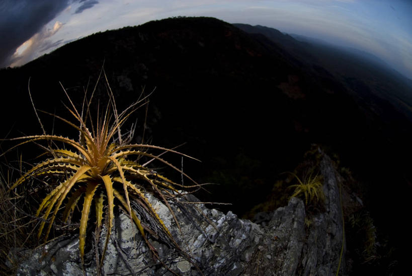 无人,横图,室外,鱼眼镜头,仙人掌,照明,巴西,地平线,山顶,辽阔,灯光,地面,灯,黄昏,灯具,广阔,南美,摄影,生长,一望无际,照亮,南美洲,照明设备,拉丁美洲,延伸,美洲,剪影,闪光灯,巴西联邦共和国,天地相交,亚美利加洲,南亚美利加洲,塞阿拉,塞阿拉州,塞阿腊,无边无际,一马平川,岩石,彩图