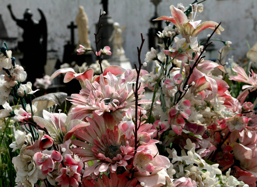 无人,横图,室外,特写,白天,天使,雕像,粉色,花束,墓地,摄影,宁静,米纳斯吉拉斯州,彩图