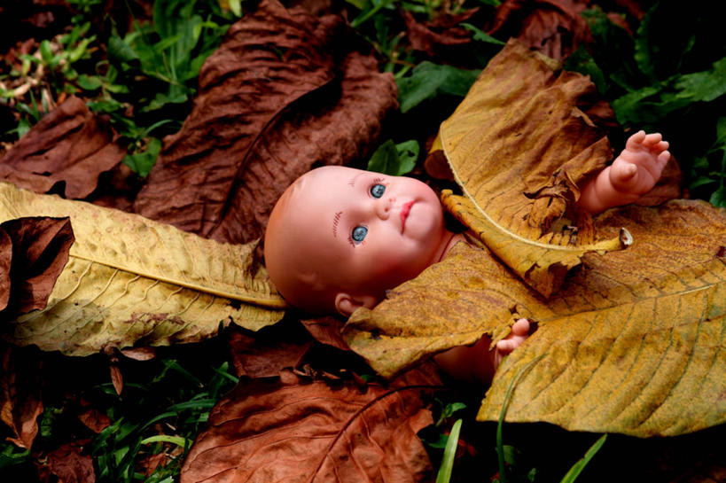 无人,躺,横图,室外,特写,白天,叶子,废弃,娃娃,草,童年,摄影,报废,废物,丢弃,放弃,抛弃,摈弃,堕胎,彩图,屏弃,损失,摈斥,摒除