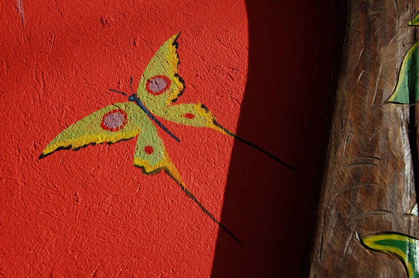 无人,横图,室外,特写,白天,蝴蝶,日光,墙,树荫,壁画,摄影,美术工艺,彩图