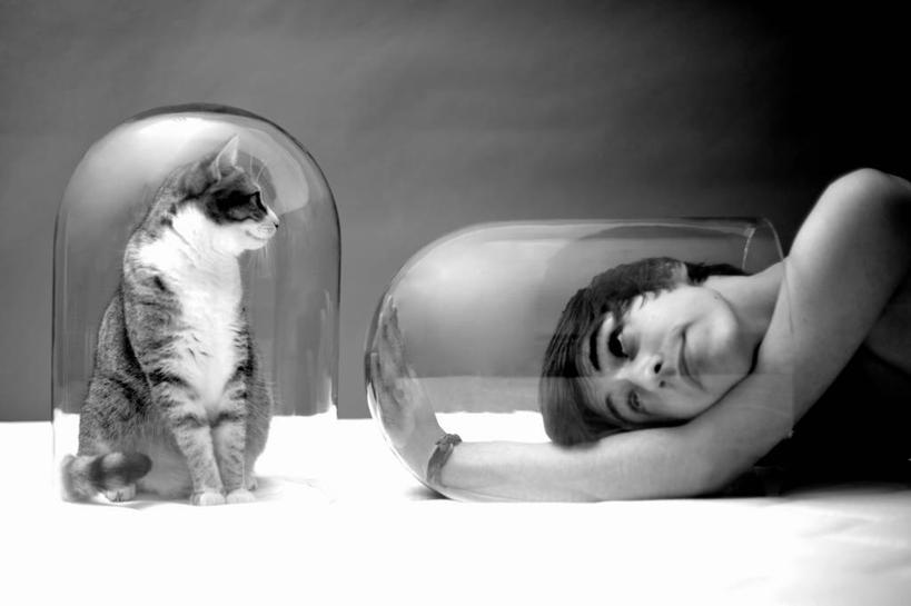 儿童,少年,一个人,躺,横图,黑白,室内,纯洁,宠物,猫,法国,仅一个男性,仅一个人,透明,仅一个年轻男性,小孩,家畜,可爱,童年,童趣,摄影,童真,烂漫,无邪,想法,天真,男人,男性,年轻男性,孩子,钟罩