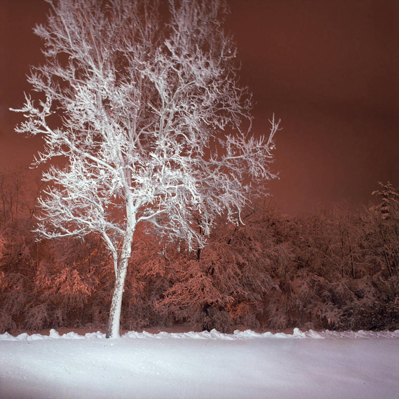 无人,方图,室外,夜晚,美景,雪,美国,景观,冬天,顶部,台阶,树,风景,天空,自然,景色,寒冷,摄影,落下,宁静,部分,环境,北美,北美洲,自然风光,美洲,万里无云,北亚美利加洲,亚美利加洲,密歇根,密歇根州,貂熊州,狼獾之州,狼獾州,安娜堡,旅行,美利坚合众国