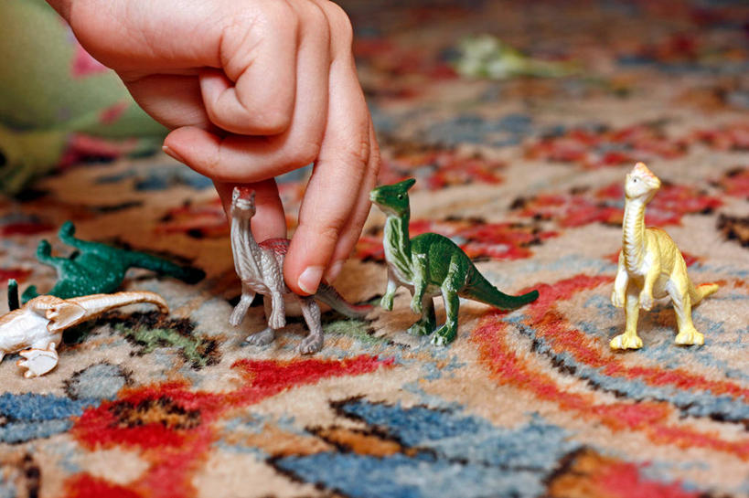 儿童,手,一个人,横图,室内,纯洁,玩具,美国,拿着,动物,可爱,童年,童趣,人体,摄影,恐龙,多样,部分,北美,北美洲,美洲,想象,童真,烂漫,无邪,新罕布什尔州,北亚美利加洲,亚美利加洲,新罕布什尔,新罕布夏州,花岗岩州,花冈岩之州,滑雪之州,新英格兰,纽英仑,天真,美利坚合众国