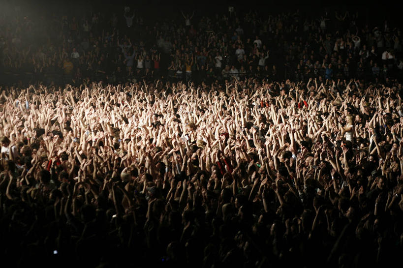 手,人群,观众,举,横图,澳大利亚,表演,欢呼,丰富,光束,许多人,音乐,挥手,托,一群人,人体,摄影,享乐,悉尼,群众,澳大拉西亚,新南威尔士,音乐会,休闲活动,举起,举手,举着,向上举,向上伸,向上托,演奏会