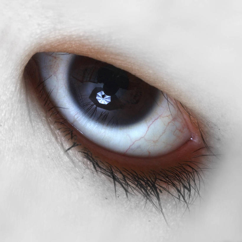 成年人,中年人,头,眼睛,一个人,方图,特写,纽约,美国,瞳孔,仅一个女性,仅一个人,看,仅一个中年女性,人体,眼部,摄影,怪异,监视,纽约州,惊骇,女人,女性,中年女性,头部,眼,彩图