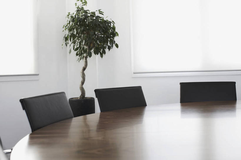 无人,办公室,会议室,横图,室内,留白,商务,窗户,桌子,椅子,会议,会议桌,图像,树,三个,摄影,生长,企业,公司,失业,彩图,机遇