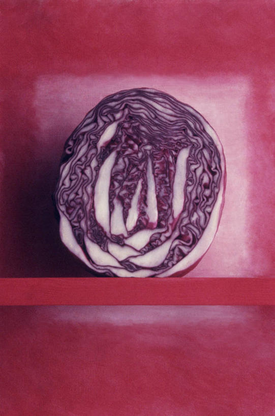 无人,竖图,特写,留白,静物,红色背景,饮食,架子,一个,甘蓝,摄影,单个,红球甘蓝,清新,健康食物,彩图,影棚拍摄