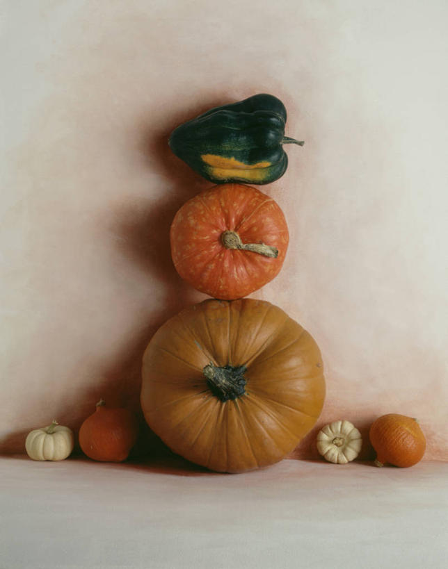 无人,竖图,特写,白色背景,南瓜,静物,堆叠,饮食,摄影,多样,清新,健康食物,彩图,影棚拍摄