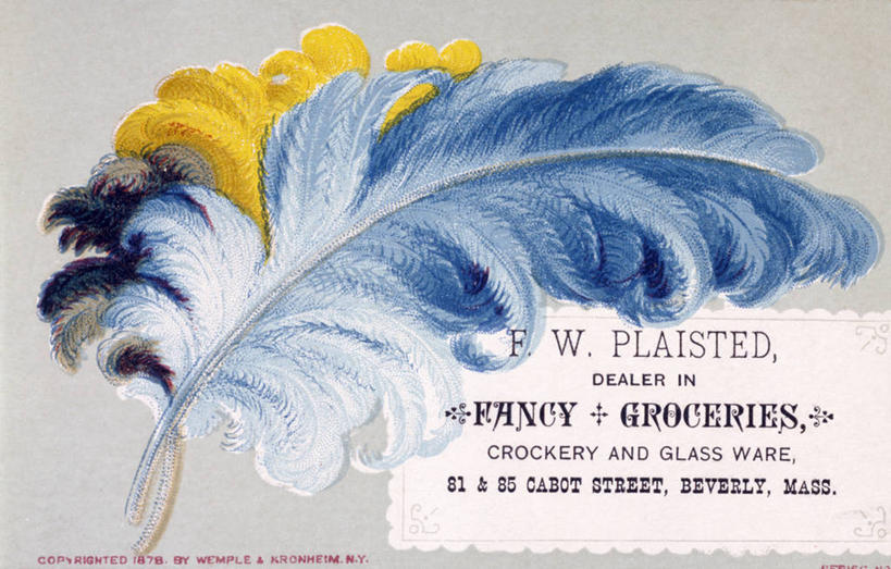 无人,横图,插画,数码,科技,鸟,鸵鸟,羽毛,阴影,轻盈,柔软,网络,鸟类,高光,几何,计算机图形,古典,合成,图画,广告,画,一个,单个,英文字母,怀旧,电脑合成图,数码合成图,合成图,记忆,漫画,写实,具体,具象,轻柔,美术工艺,大写字母,彩图,影棚拍摄