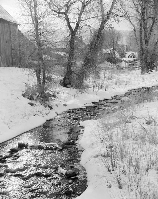 无人,竖图,黑白,室外,白天,雪,乡村,冬天,树,小溪,自然,寒冷,摄影