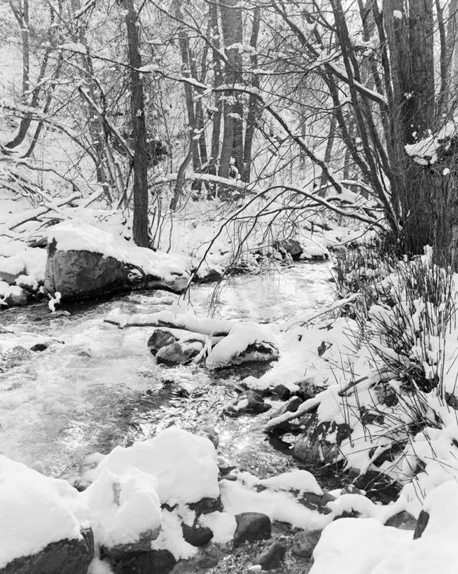 无人,竖图,黑白,室外,白天,河流,森林,雪,冬天,树,小溪,自然,摄影