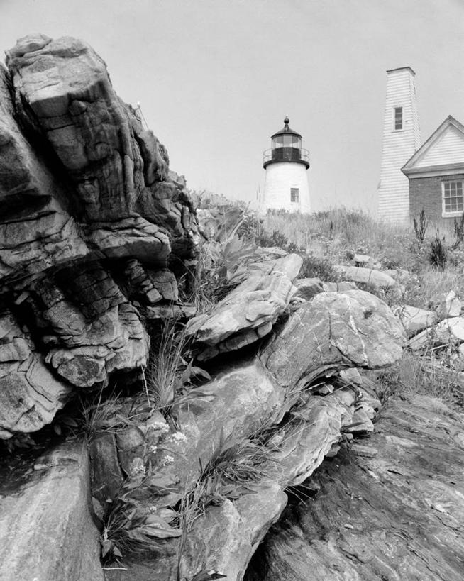 无人,竖图,黑白,室外,白天,仰视,道路,信息,树桩,根部,灯塔,交通,方向,摄影,引导,指引,航标,低角度拍摄,导航