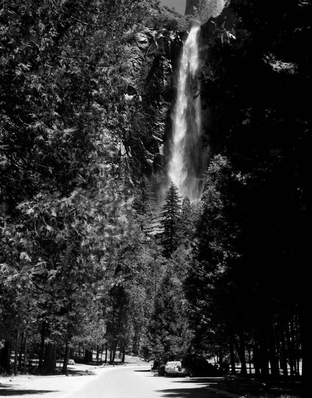 无人,公园,竖图,黑白,室外,白天,旅游,度假,美景,瀑布,森林,水,美国,溅,景观,山谷,宏伟,娱乐,树,风景,自然,享受,休闲,景色,放松,摄影,宁静,北美,北美洲,国家公园,加利福尼亚,自然风光,约塞米蒂国家公园,美洲,加州,加利福尼亚州,优胜美地国家公园,金州,黄金州,北亚美利加洲,亚美利加洲,美国尤塞米提国家公园,优山美地,约瑟米提国家公园,新娘面纱瀑布,美利坚合众国