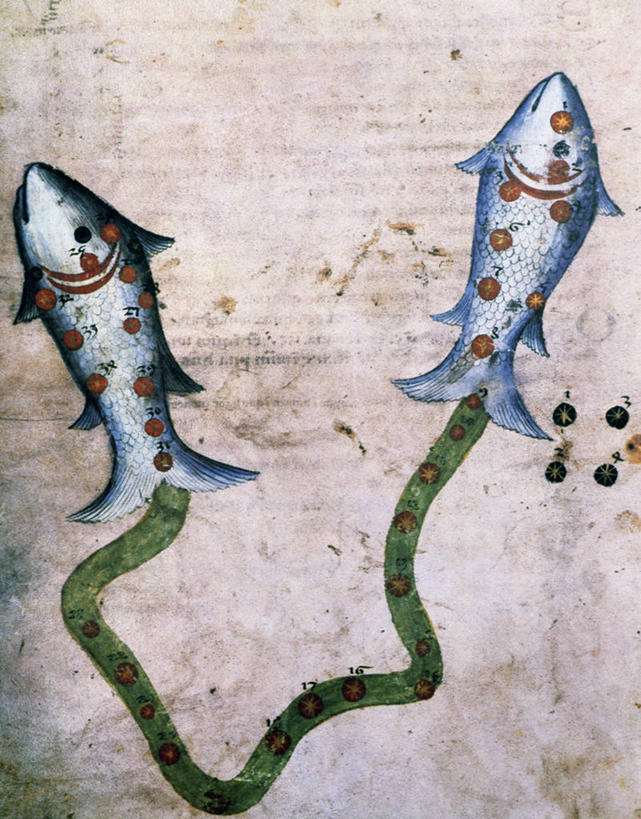 无人,竖图,插画,侧面,数码,科技,阴影,网络,数字,高光,几何,计算机图形,联系,合成,图画,鱼类,画,动物,两只,星座,电脑合成图,数码合成图,鳍,合成图,漫画,想象,算命,写实,具体,具象,双鱼座,彩图