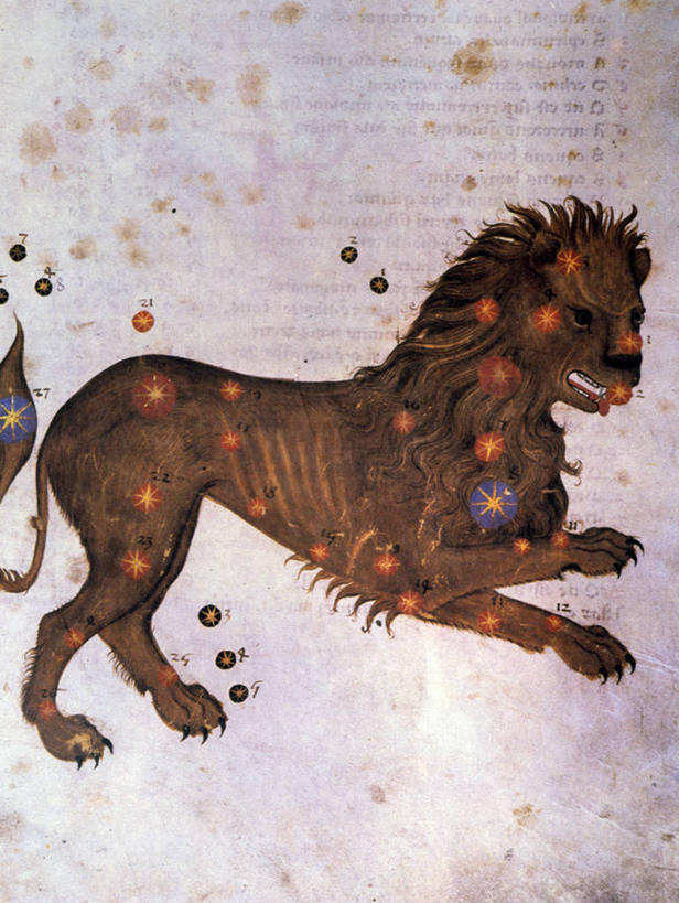 无人,竖图,插画,侧面,数码,科技,狮子,阴影,网络,数字,高光,几何,计算机图形,合成,图画,画,星形,狮子座,星座,电脑合成图,数码合成图,合成图,漫画,算命,鬃毛,写实,具体,具象,彩图