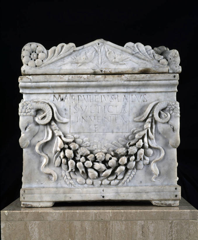 无人,竖图,特写,黑色背景,花环,历史,一个,摄影,单个,死亡,考古学,古希腊,彩图,影棚拍摄