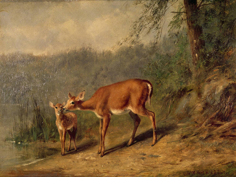 无人,横图,插画,室外,白天,旅游,度假,绘画,数码,科技,美景,哺乳动物,鹿,野生动物,阴影,艺术,网络,河岸,景观,高光,几何,计算机图形,古典,合成,图画,文化,娱乐,画,树,自然,动物,工艺品,品味,两只,享受,休闲,景色,放松,可爱,活泼,宁静,美术,电脑合成图,数码合成图,高雅,合成图,关爱,自然风光,小鹿,漫画,写实,具体,具象,美学,彩图