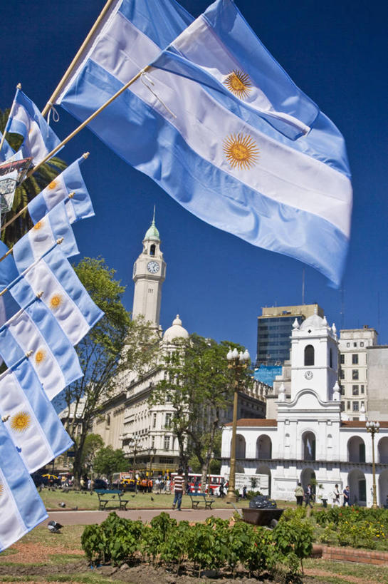 广场,竖图,室外,白天,旅游,城市,建筑,旗帜,国旗,阿根廷,首都,钟塔,树,摄影,拉丁美洲,布宜诺斯艾利斯,彩图,阿根廷国旗