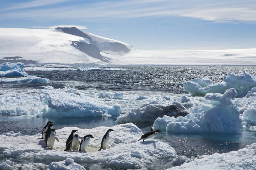 无人,跳,横图,俯视,室外,白天,旅游,度假,海洋,美景,水,雪,企鹅,野生动物,鸟类,冰,景观,云,娱乐,白色,天空,自然,浮冰,享受,休闲,景色,放松,寒冷,摄影,自然风光,南极洲,冰河,阿黛利企鹅,南极半岛,彩图,高角度拍摄,动物行为,动物学