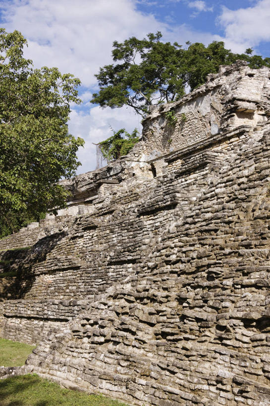 无人,竖图,室外,白天,建筑,墨西哥,云,历史,废墟,树,天空,金字塔,摄影,宁静,考古学,拉丁美洲,玛雅文明,帕伦克,恰帕斯州,古代文明,墨西哥文化,彩图,传统文化,联合国教科文组织,过去