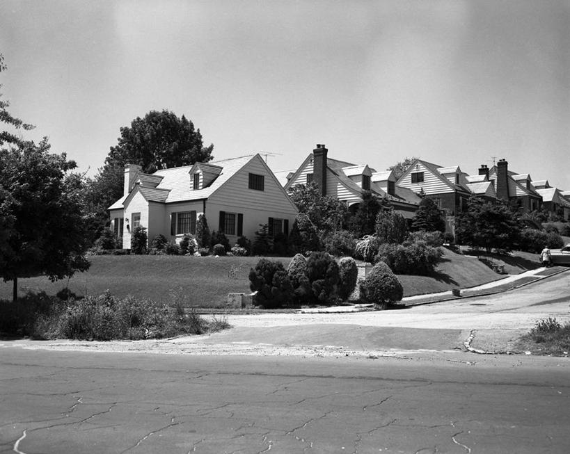 无人,横图,黑白,室外,白天,草坪,建筑,街道,一排,整齐,房屋,郊区,古典,排列,摄影,灌木,队列,一致,居住区