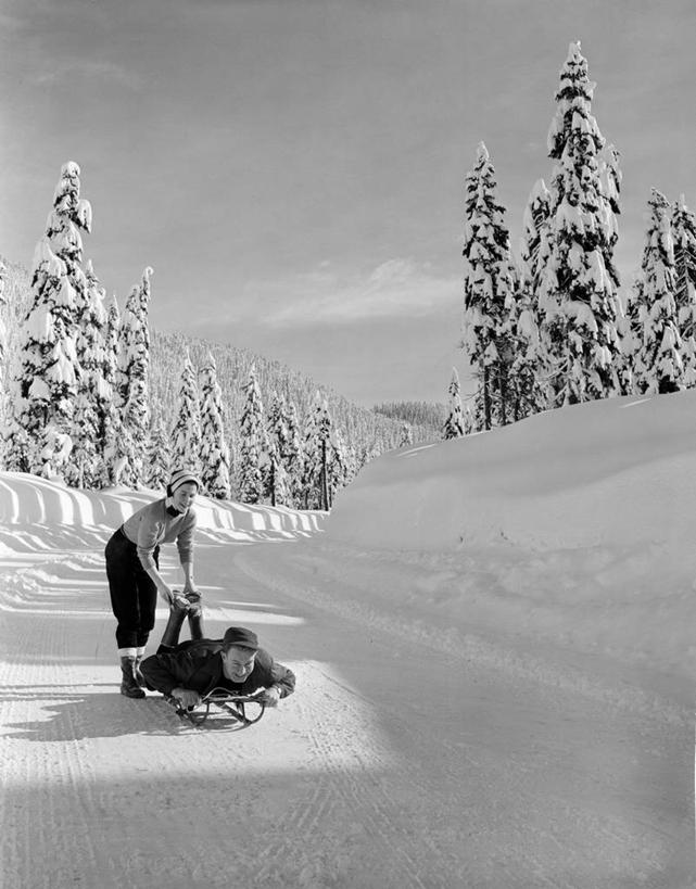 西方人,成年人,两个人,夫妻,站,推,竖图,黑白,室外,白天,正面,爱情,快乐,雪,松树,帽子,欧洲,美国,欧洲人,弯腰,冬天,古典,浪漫,趴着,恩爱,寒冷,恋人,摄影,生活方式,雪橇,华盛顿州,西雅图,编织帽,异性恋,无忧无虑,年轻男性,年轻女性,白种人,年轻人,夫妇,情侣,休闲活动,爱,伴侣