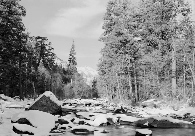 无人,横图,黑白,室外,白天,森林,水,美国,地形,风景,摄影,宁静,国家公园,加利福尼亚,优胜美地国家公园,岩石,针叶树