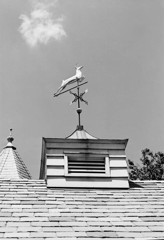 无人,竖图,黑白,室外,白天,仰视,烟囱,建筑,鹿,房屋,屋顶,云,天气,瓦,摄影,迷人,风标,低角度拍摄