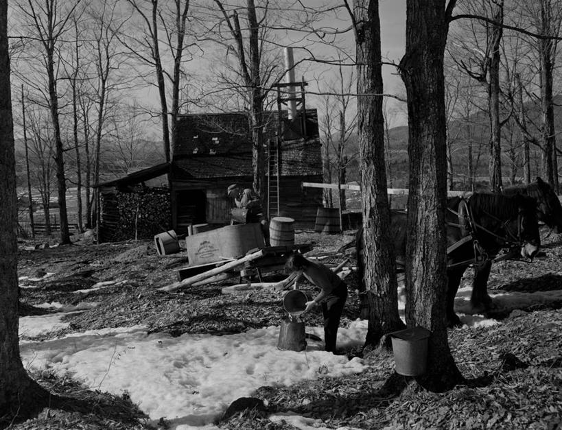 西方人,成年人,中年人,老年人,两个人,农民,站,横图,黑白,室外,白天,旅游,度假,合作,团队,农业,美景,雪,建筑,马,欧洲,纽约,美国,欧洲人,倒,弯腰,桶,推车,房屋,景观,冬天,马车,拿着,休闲装,娱乐,树,自然,动物,两只,职业,享受,休闲,家畜,景色,放松,寒冷,摄影,北美,北美洲,运送,自然风光,美洲,新罕布什尔州,北亚美利加洲,亚美利加洲,新罕布什尔,新罕布夏州,花岗岩州,花冈岩之州,滑雪之州,新英格兰,兰开斯特,农舍,纽英仑,树液,老年男性,老年女性,男人,女人,白种人,美利坚合众国