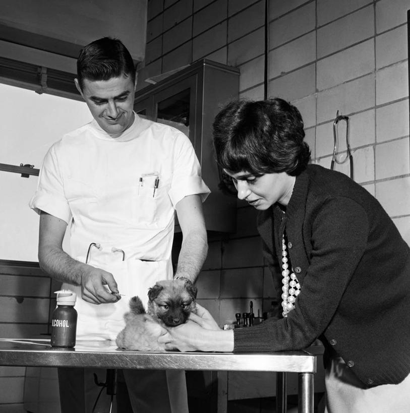 西方人,成年人,中年人,两个人,兽医,站,竖图,方图,黑白,室内,制服,桌子,宠物,狗,欧洲,纽约,美国,欧洲人,检查,小狗,古典,拿着,休闲装,动物,摄影,协助,卫生,关爱,年轻女性,中年男性,白种人,年轻人