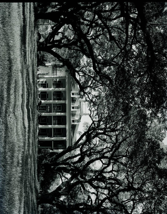 无人,横图,竖图,黑白,室外,白天,正面,草坪,建筑,日光,美国,柱子,古典,历史,树,摄影,宁静,路易斯安那州,森林别墅