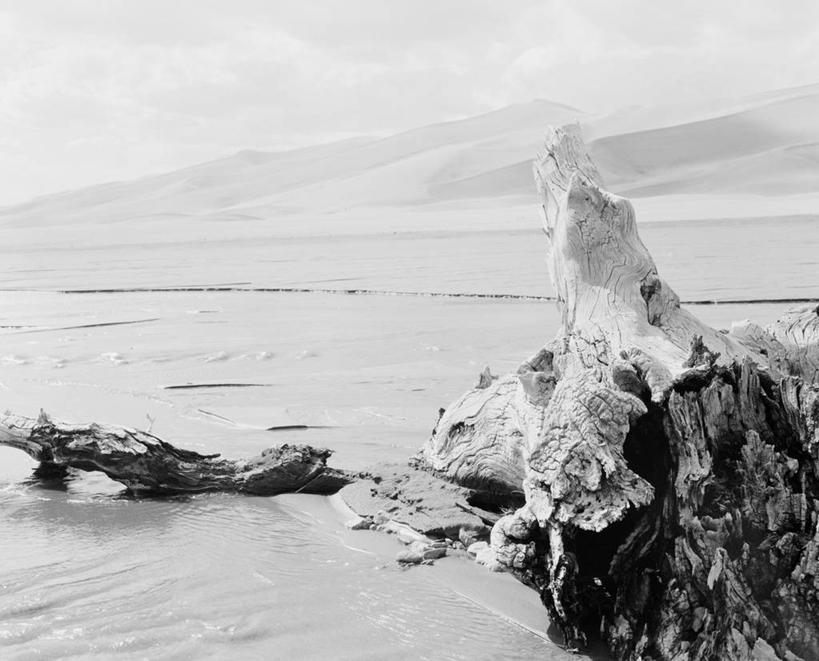 无人,横图,黑白,室外,白天,沙漠,美国,沙子,地形,沙丘,风景,摄影,宁静,圆木,科罗拉多州,大沙丘国家公园,岩石