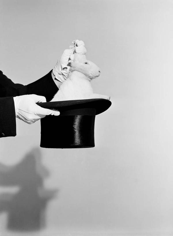 成年人,中年人,一个人,魔术师,竖图,黑白,白色背景,晚礼服,宠物,仅一个男性,仅一个人,仅一个中年男性,正装,拿着,摄影,惊奇,部分,魔术,出示,家兔,技能,男人,男性,中年男性,影棚拍摄