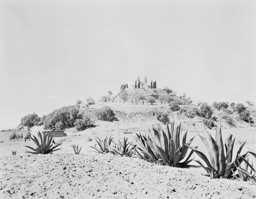 无人,横图,黑白,室外,白天,沙漠,芦荟,墨西哥,沙子,地形,废墟,风景,金字塔,摄影,拉丁美洲,古代文明,海滩,肉质植物