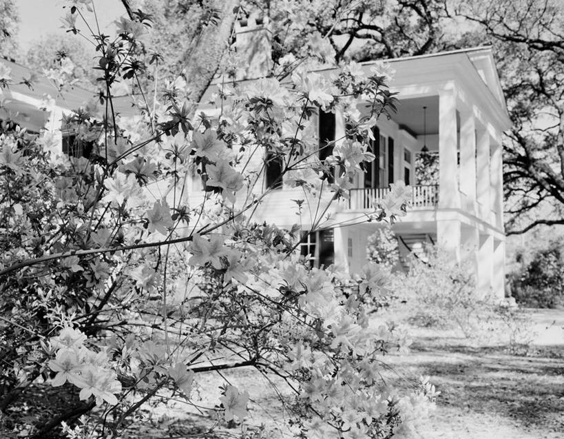 无人,博物馆,横图,黑白,室外,白天,草坪,建筑,日光,美国,柱子,古典,历史,花,花朵,摄影,灌木,阿拉巴马州