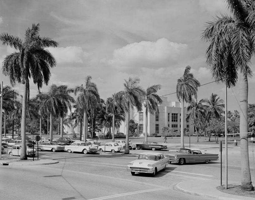 无人,横图,黑白,室外,白天,城市,路,汽车,棕榈树,美国,云,交通,运输,摄影,北美,北美洲,美洲,佛罗里达,佛罗里达州,迈阿密,佛州,阳光州,北亚美利加洲,亚美利加洲,美利坚合众国