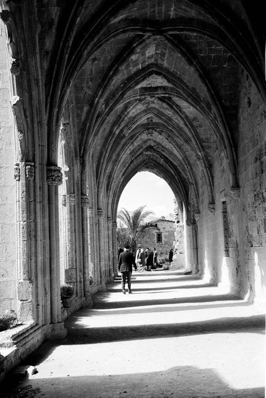 竖图,黑白,室外,白天,天花板,建筑,日光,塞浦路斯,美国,拱门,摄影,回廊,基督教,哥特式风格,修院