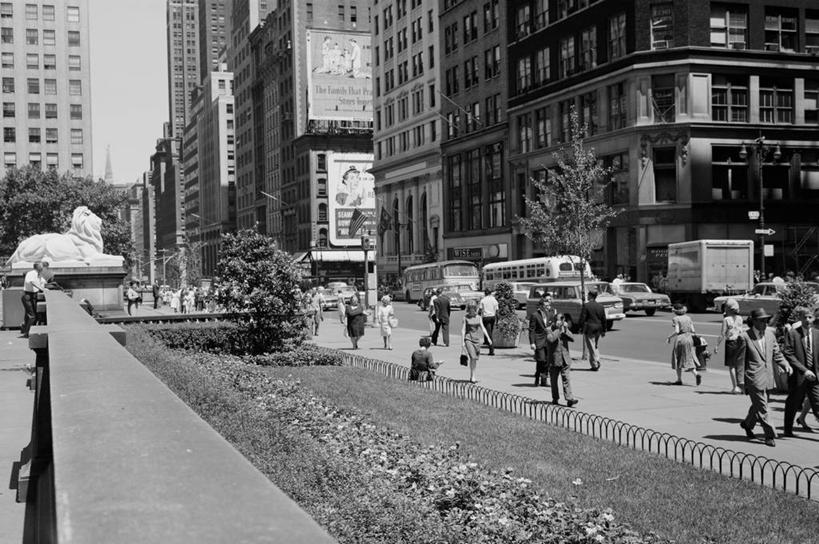 横图,黑白,室外,白天,草坪,城市,道路,街道,路,公路,汽车,纽约,美国,行人,人行道,交通,许多人,一群人,摄影,第五大道,纽约公立图书馆,马路,42街